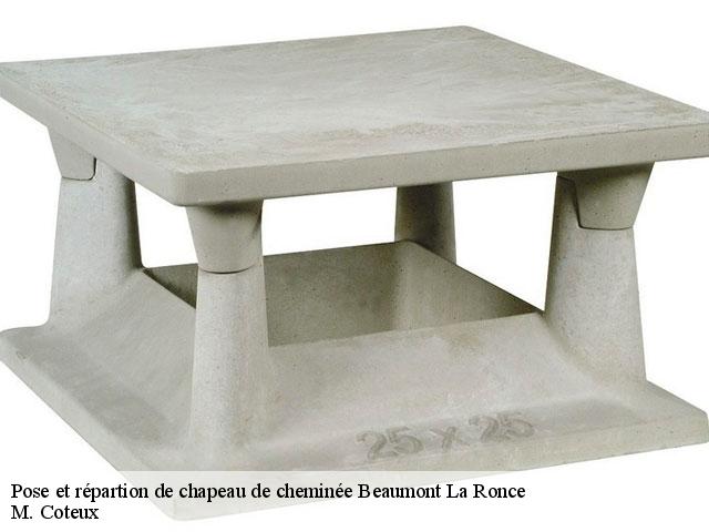 Pose et répartion de chapeau de cheminée  beaumont-la-ronce-37360 M. Coteux