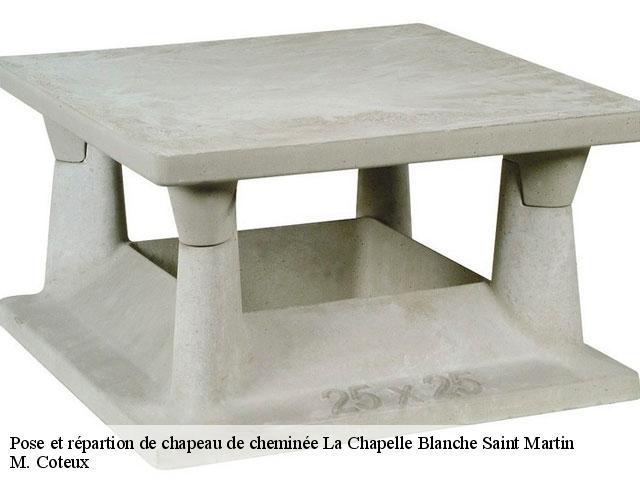 Pose et répartion de chapeau de cheminée  la-chapelle-blanche-saint-martin-37240 M. Coteux