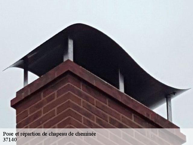Pose et répartion de chapeau de cheminée 37140
