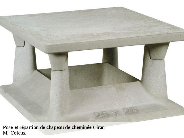 Pose et répartion de chapeau de cheminée  ciran-37240 M. Coteux