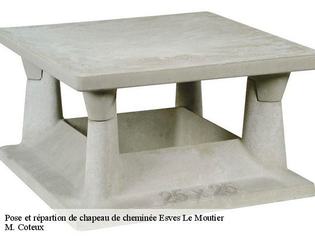Pose et répartion de chapeau de cheminée  esves-le-moutier-37240 M. Coteux