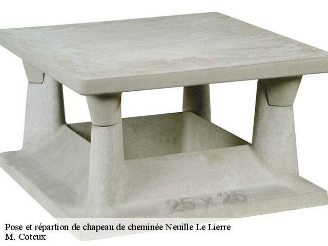 Pose et répartion de chapeau de cheminée  neuille-le-lierre-37380 M. Coteux