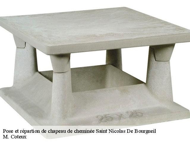 Pose et répartion de chapeau de cheminée  saint-nicolas-de-bourgueil-37140 M. Coteux