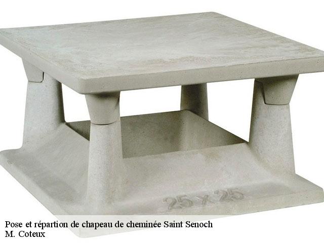 Pose et répartion de chapeau de cheminée  saint-senoch-37600 M. Coteux