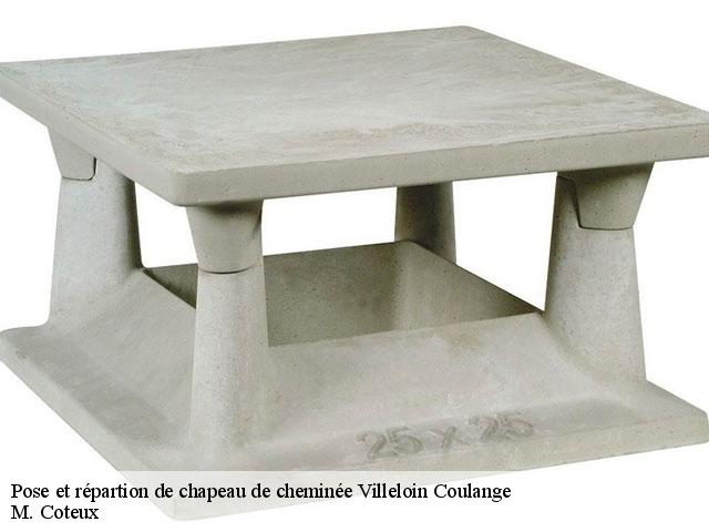 Pose et répartion de chapeau de cheminée  villeloin-coulange-37460 M. Coteux
