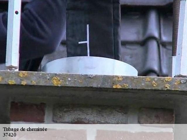 Tubage de cheminée 37420