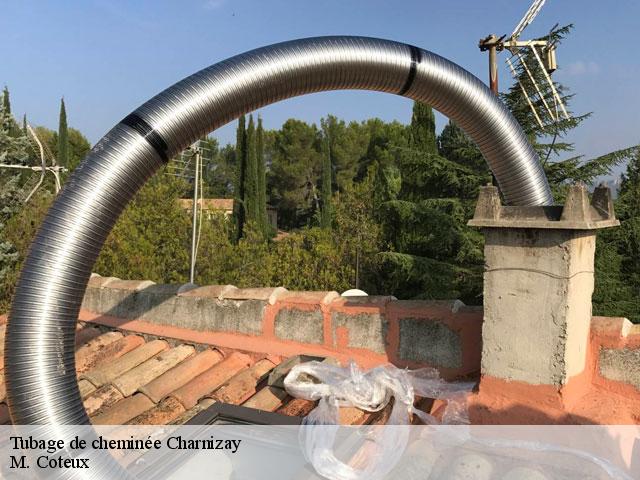 Tubage de cheminée  charnizay-37290 M. Coteux