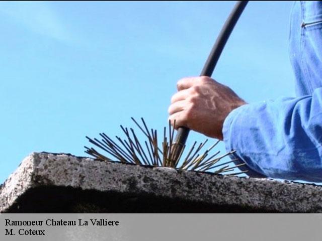 Ramoneur  chateau-la-valliere-37330 M. Coteux