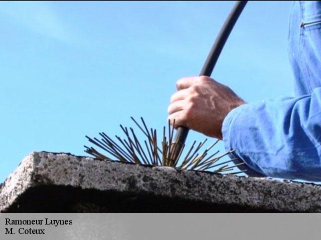 Ramoneur  luynes-37230 M. Coteux